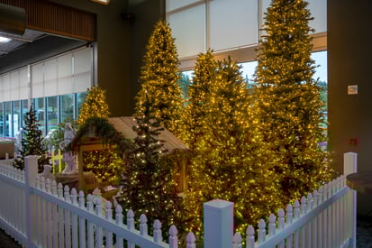 Christmas Traditions