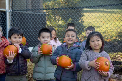 Harvesting Memories: Fall activities for the Family