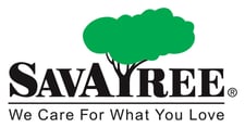 SAVATREE Logo We Care Final Meduim (003)