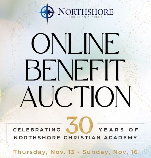 Auction Graphic Shortened