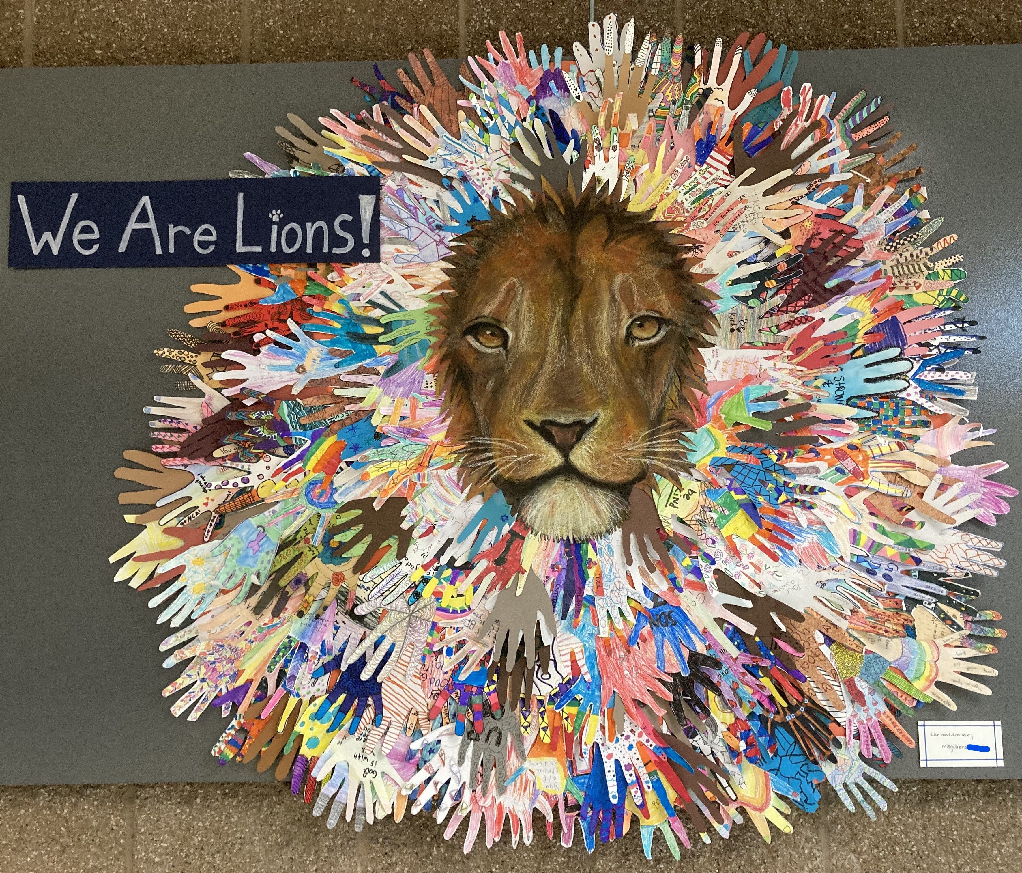 NCA Lion Mane Art