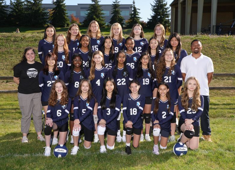 Team Pic vball